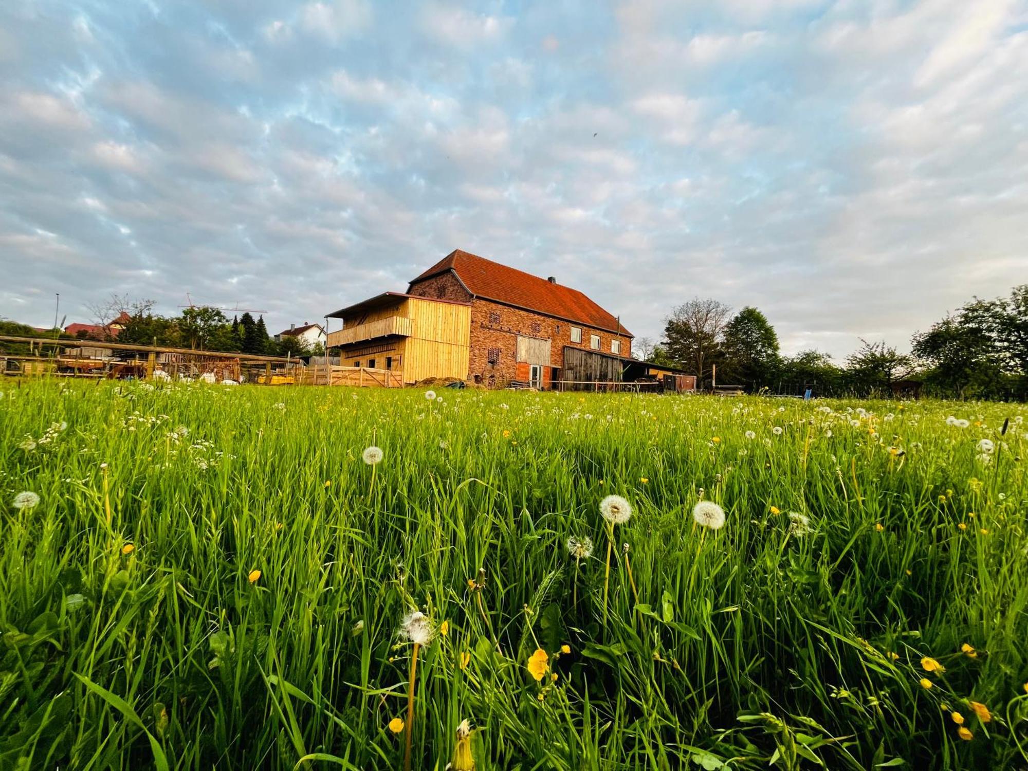 Ferienwohnung Peters Hünfeld Esterno foto