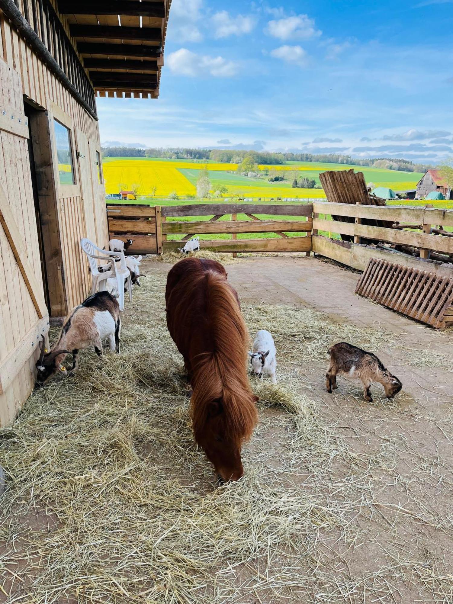 Ferienwohnung Peters Hünfeld Esterno foto